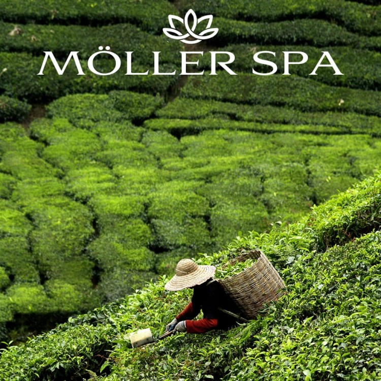 474d6e5ed2f5d90fbb1511c3a025ee4f.jpg